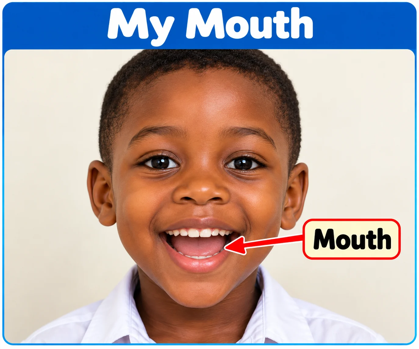 Picture of a child with the mouth labelled