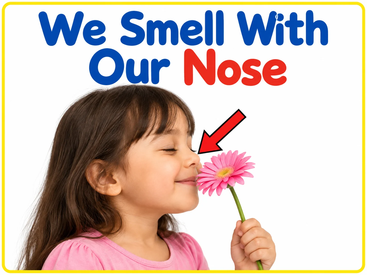 Smelling flowers with nose educational illustration