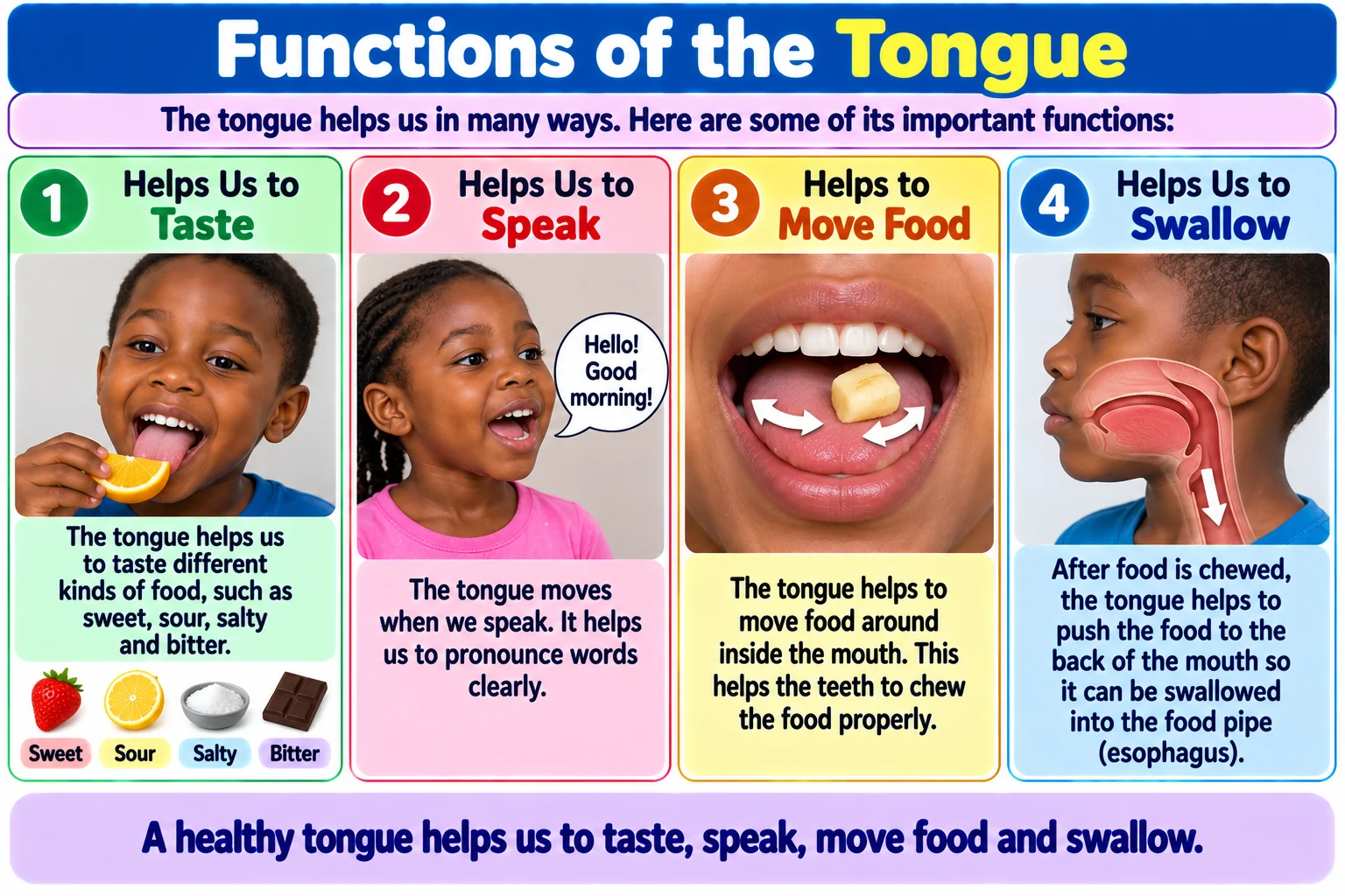 Functions of the tongue educational illustration