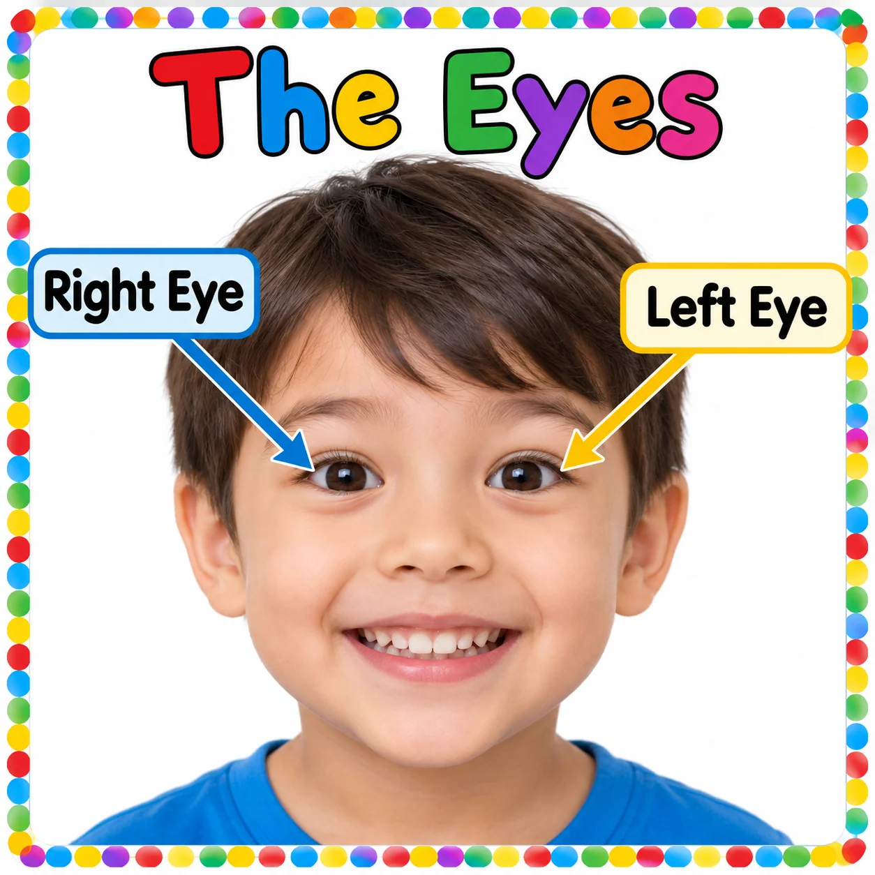 Child with the left eye and right eye clearly labelled